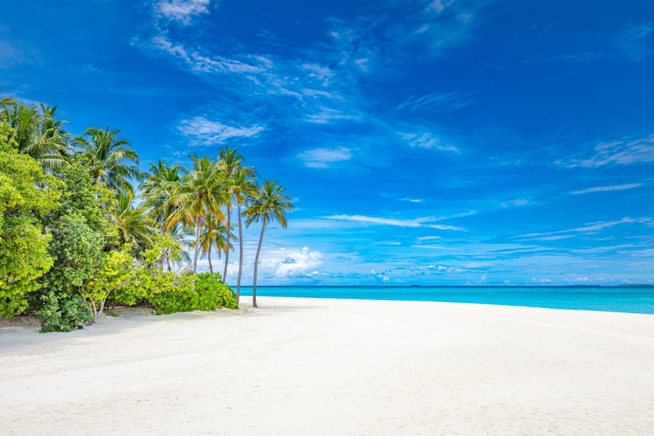 Resort Sun Siyam Iru Fushi With Free Transfer Iru Fushi Island